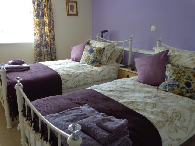 Buckland St Mary Lodge House B&B חדר תמונה