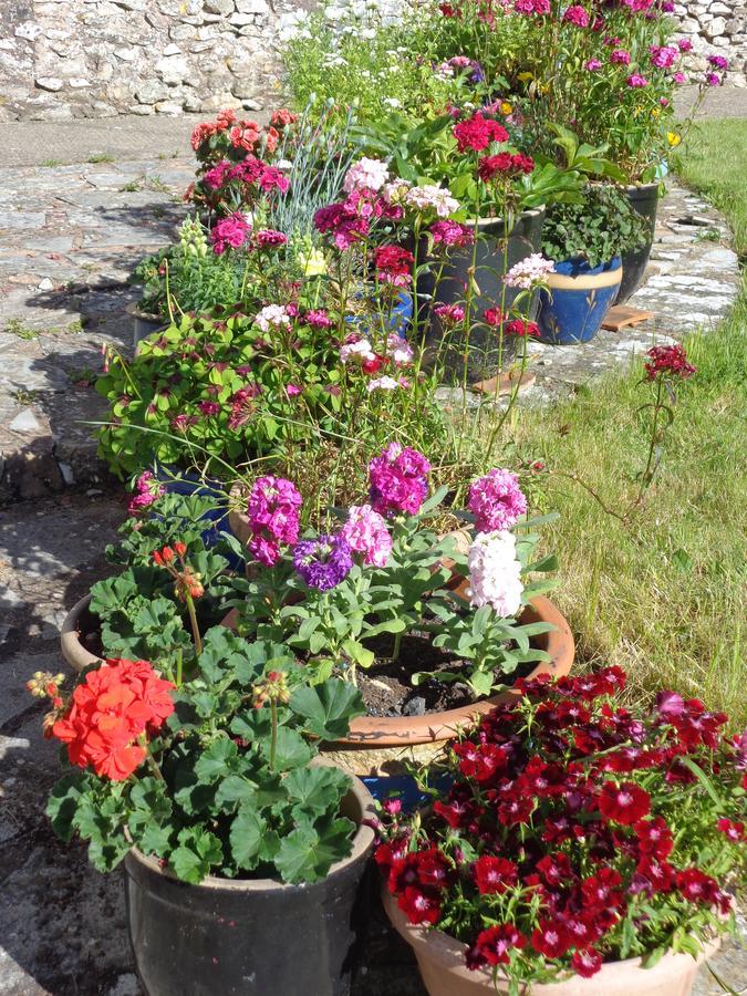 Buckland St Mary Lodge House B&B מראה חיצוני תמונה